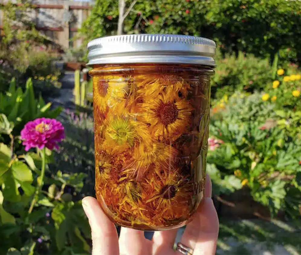 FREE Beginner’s Guide to 9 Powerful Healing Herbs and A Backyard Pharmacy: Starter Checklist