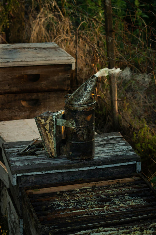 Why Smoke Calms Bees (And How It Helps Ease Bee Stress)