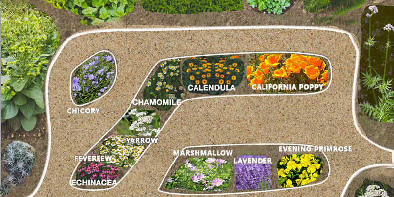 FREE Beginner’s Guide to 9 Powerful Healing Herbs and A Backyard Pharmacy: Starter Checklist