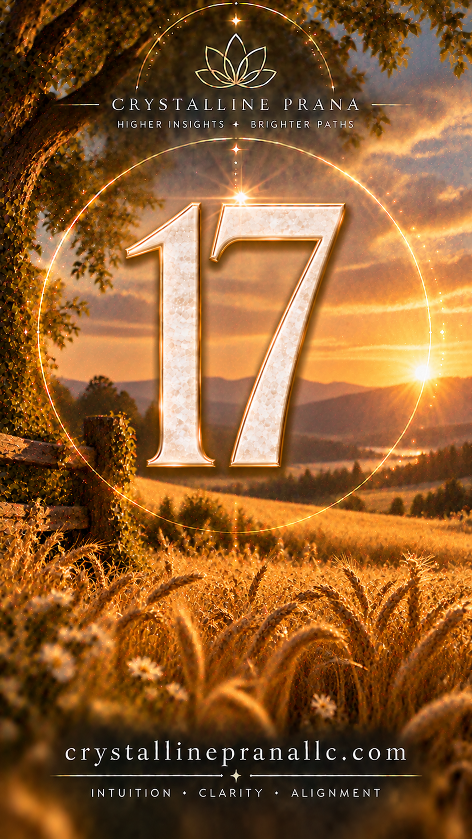 Intuitive Oracle Image Reading by Number