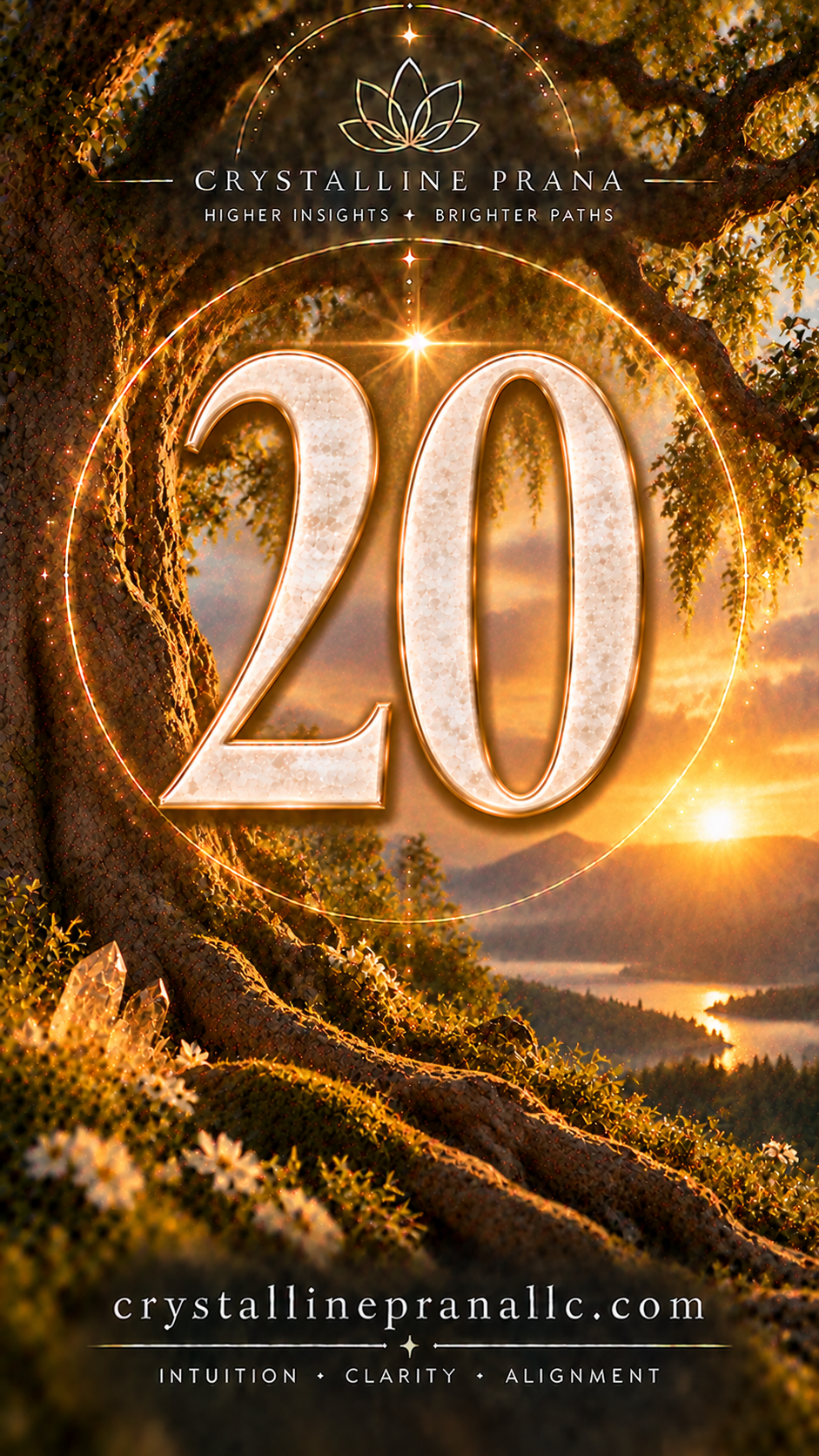 Intuitive Oracle Image Reading by Number