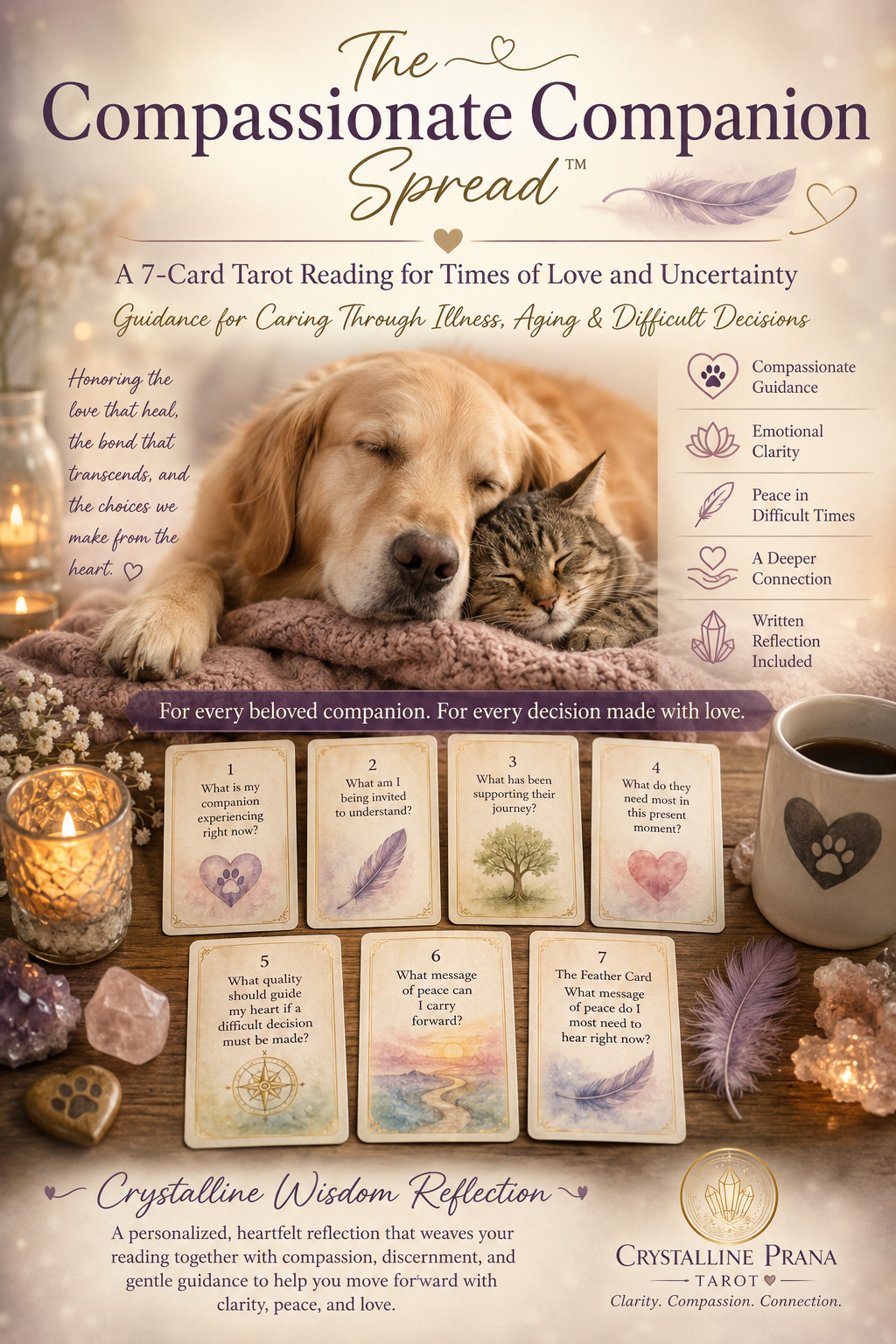 The Compassionate Companion 7 Card Tarot Spread