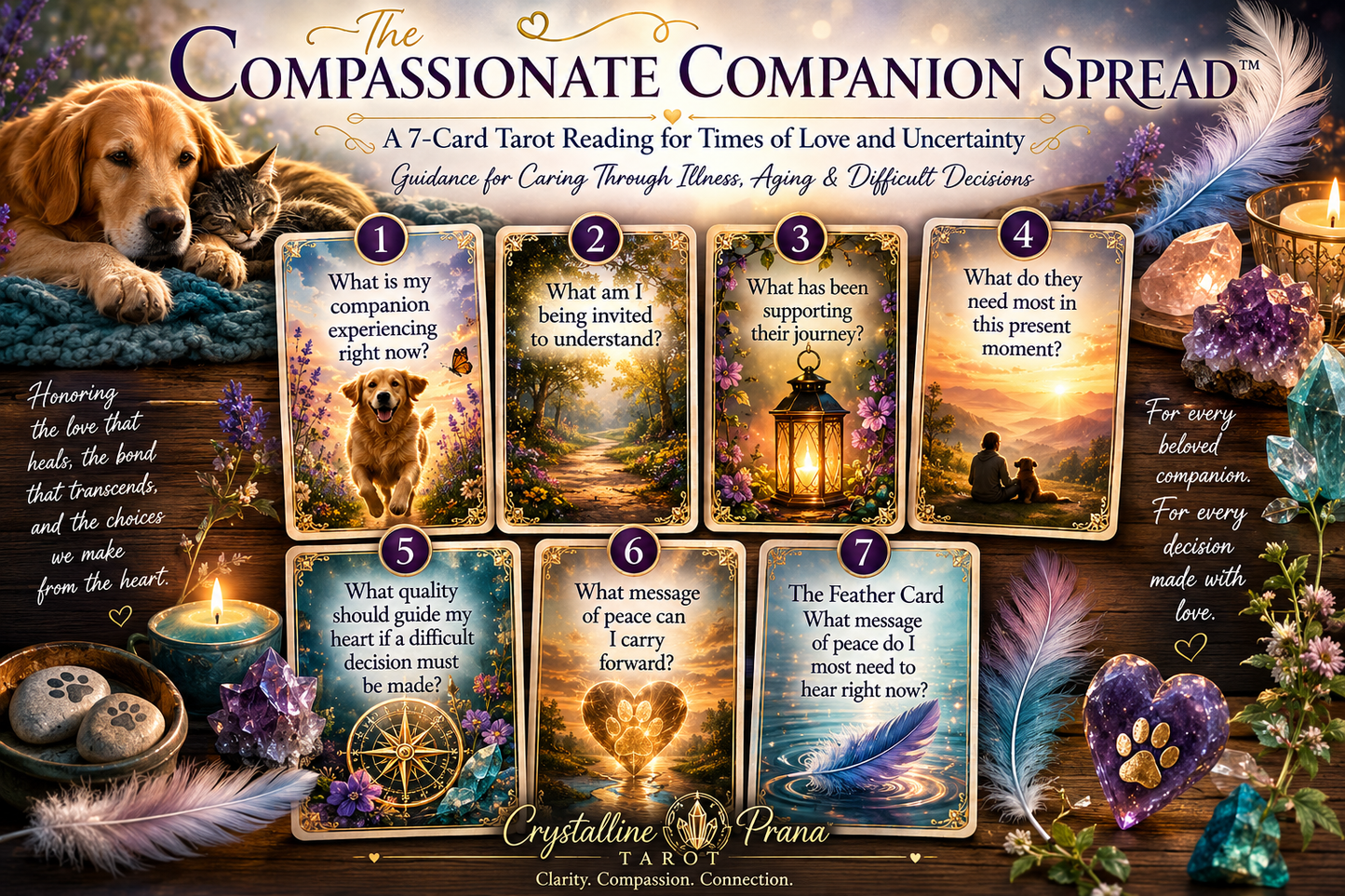 The Compassionate Companion 7 Card Tarot Spread