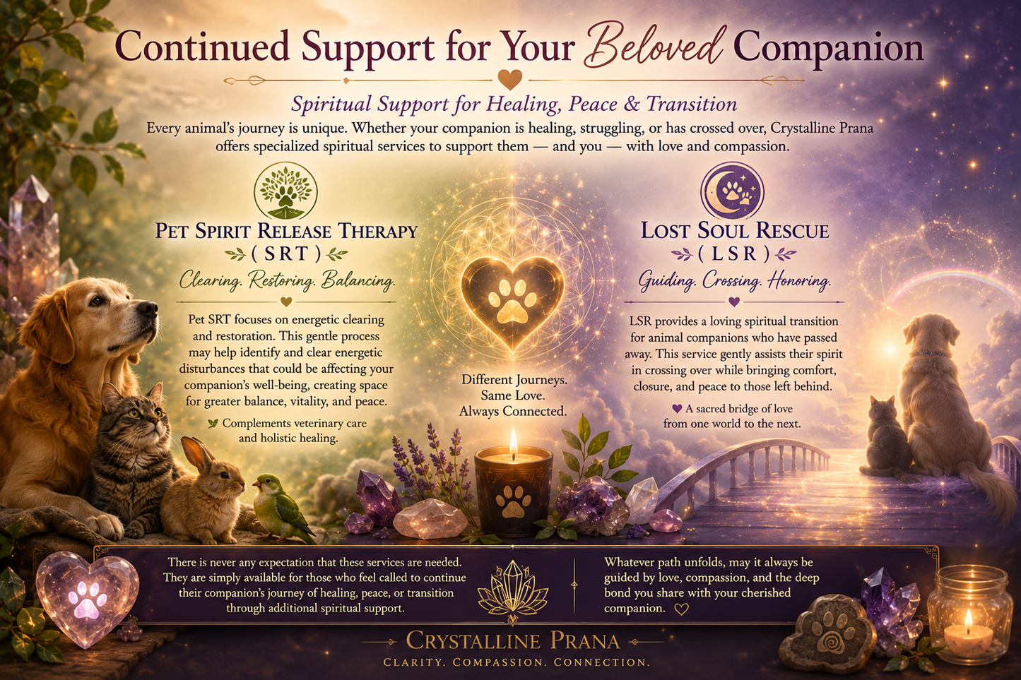 The Compassionate Companion 7 Card Tarot Spread