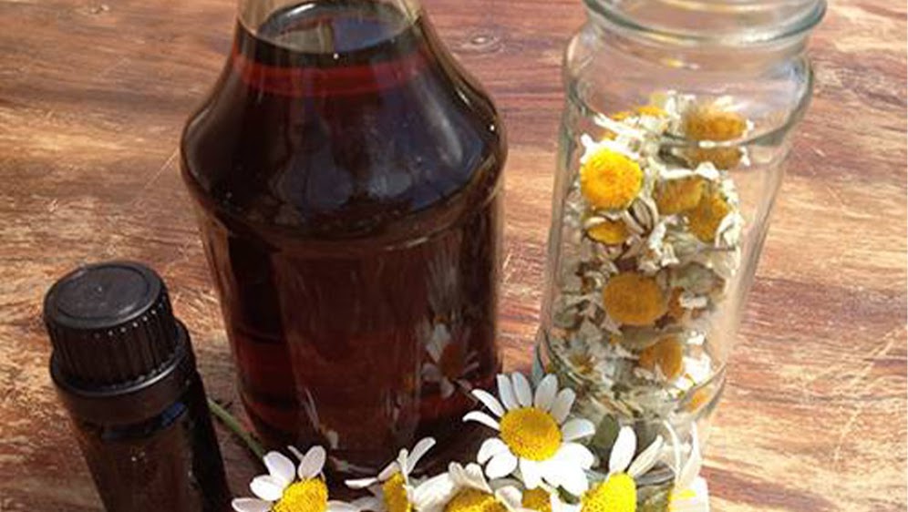FREE Beginner’s Guide to 9 Powerful Healing Herbs and A Backyard Pharmacy: Starter Checklist