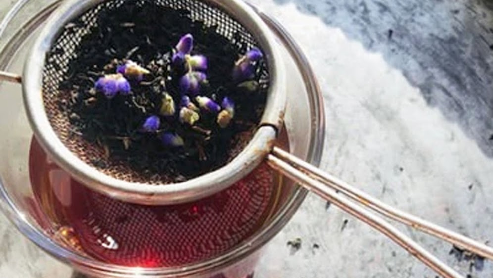 FREE Beginner’s Guide to 9 Powerful Healing Herbs and A Backyard Pharmacy: Starter Checklist